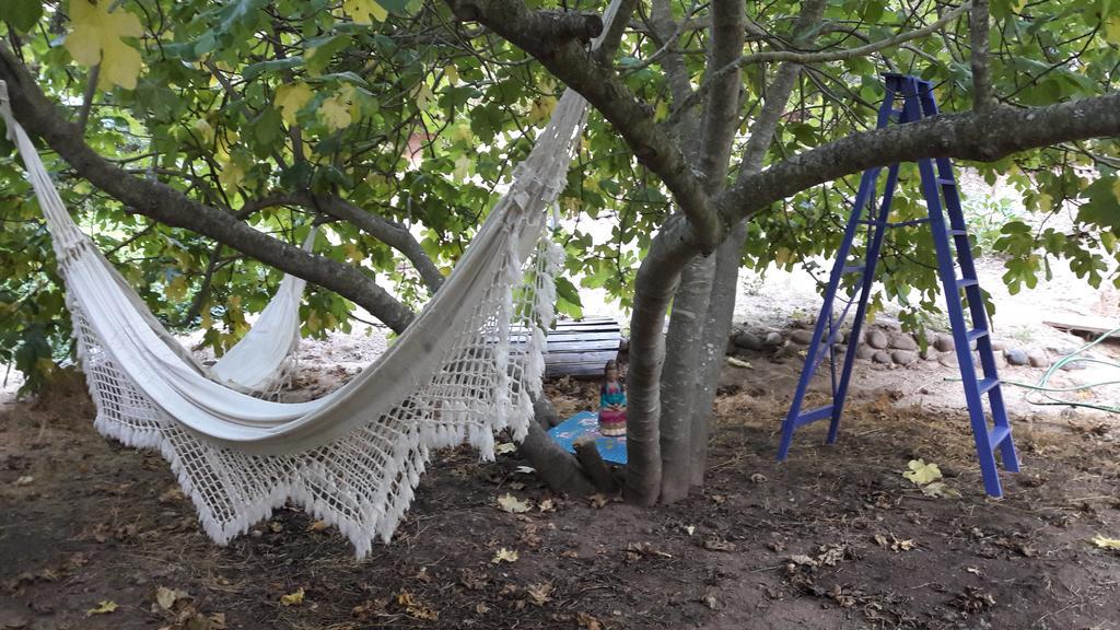 Cabana De Adobe En ラペル湖 エクステリア 写真